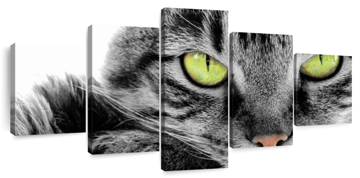 Green Eyed Cat Wall Art