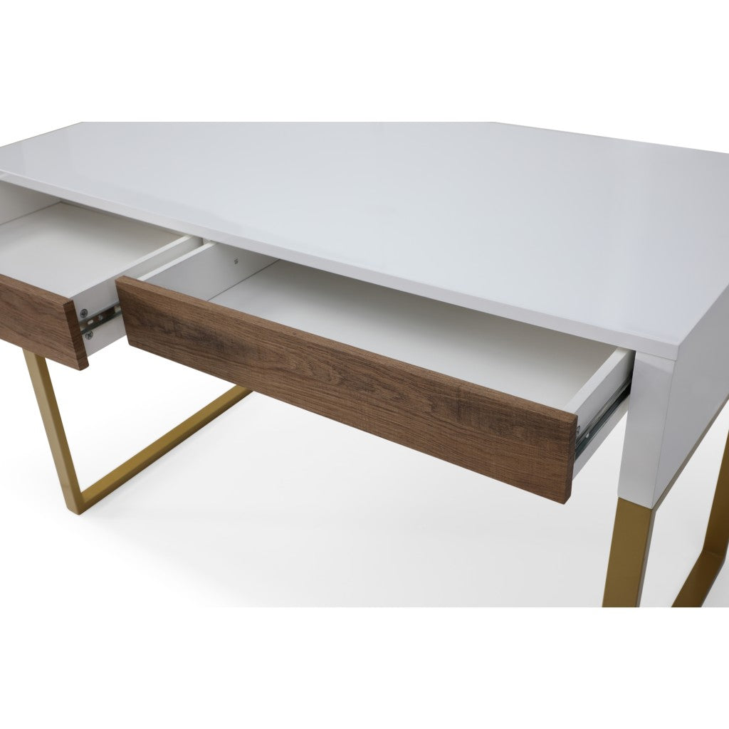 Jamir Writing Desk with 2 Drawers