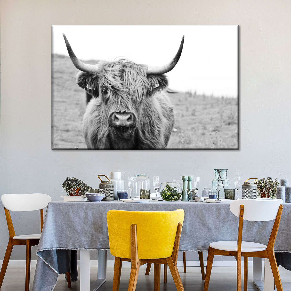 Solitary Highland Cow Wall Art