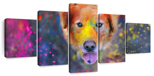 Colorful Labrador Wall Art