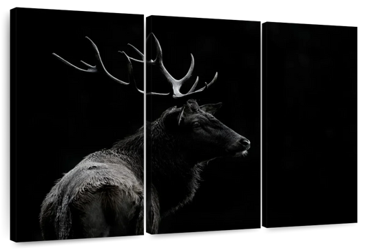 Monochrome Bull Elk Wall Art
