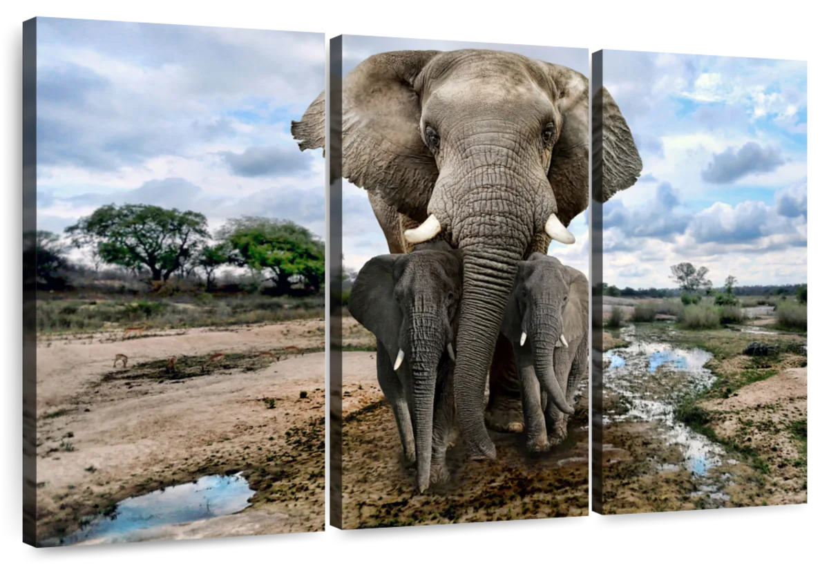 Safari Elephants Wall Art