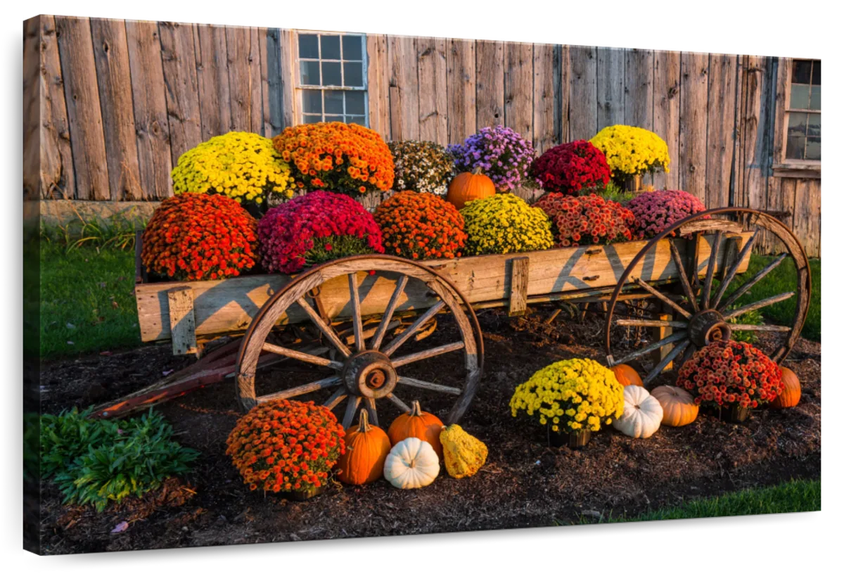 Flower Vending Stall Wall Art