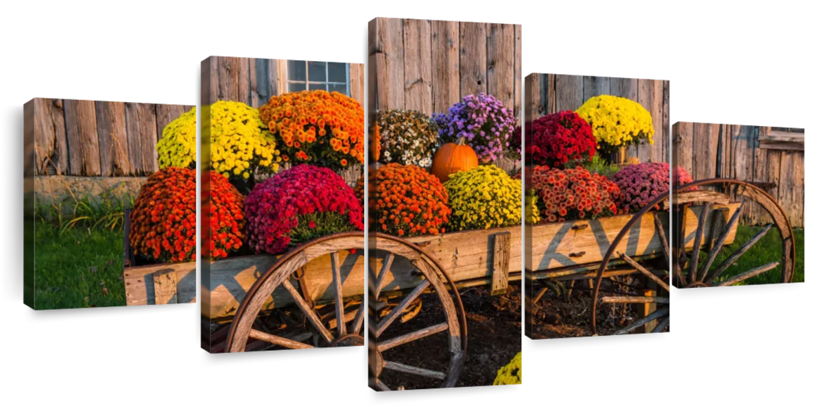 Flower Vending Stall Wall Art