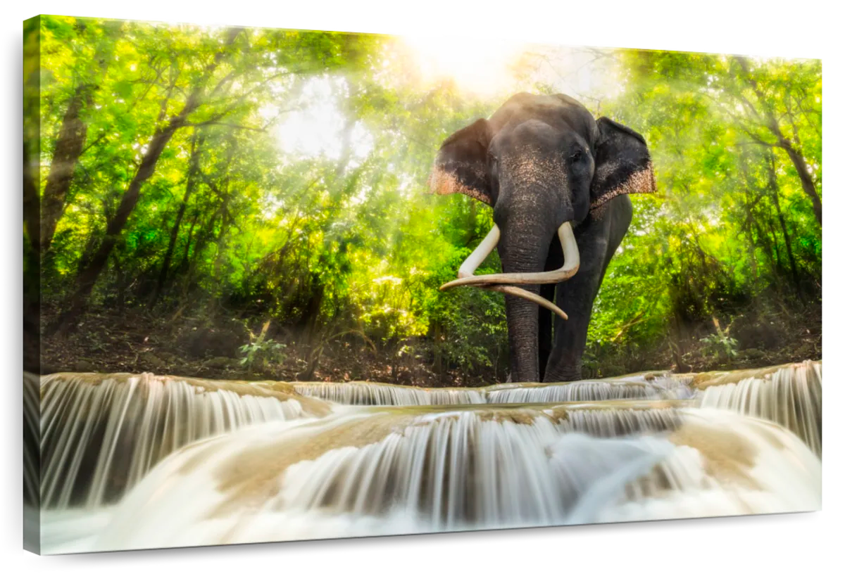 Waterfall Elephant Wall Art