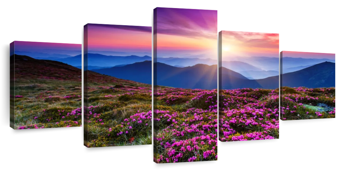 Pink Flowers At Sunset Wall Art