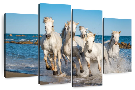 Camargue Horses Wall Art