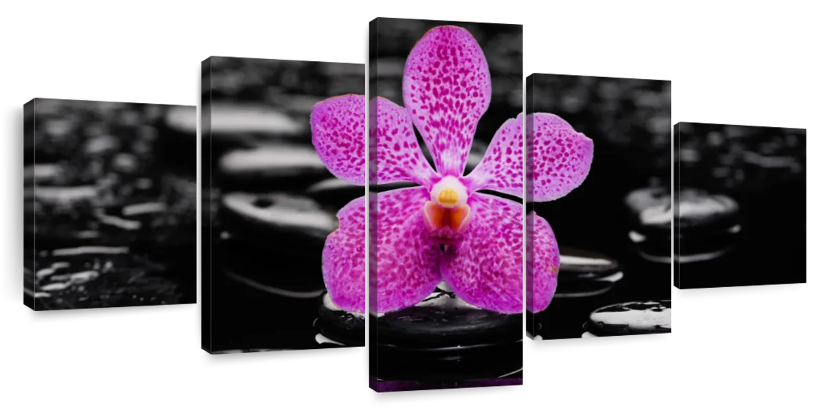 Zen Purple Orchid Wall Art