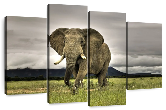 Elephant Landscape Wall Art