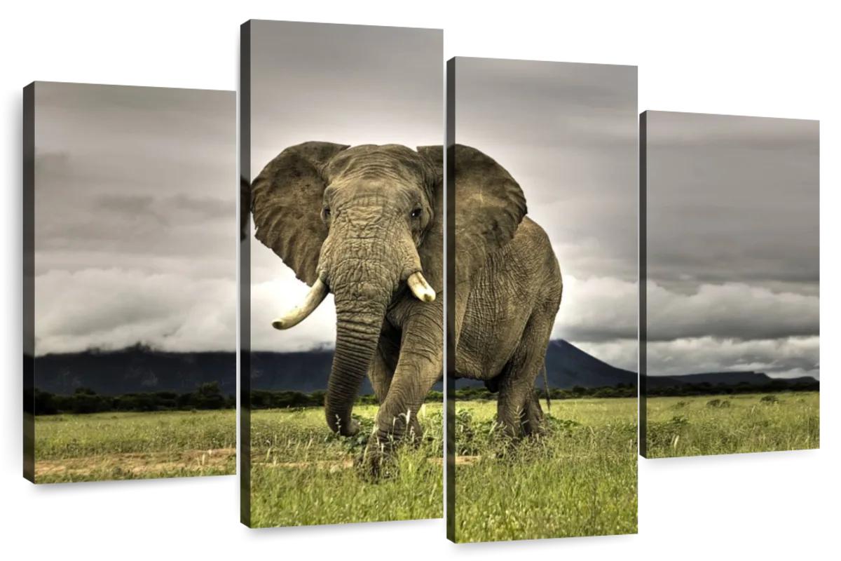 Elephant Landscape Wall Art