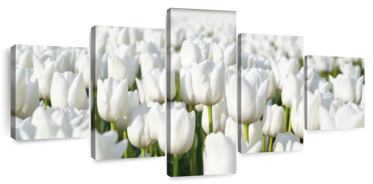 Endless White Tulips Wall Art