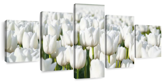 Endless White Tulips Wall Art