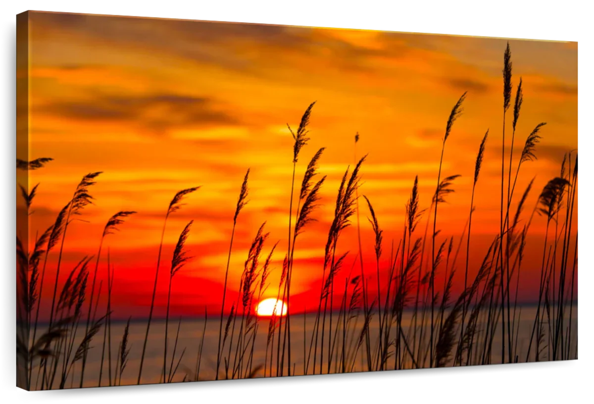 Chesapeake Bay Sunrise Wall Art