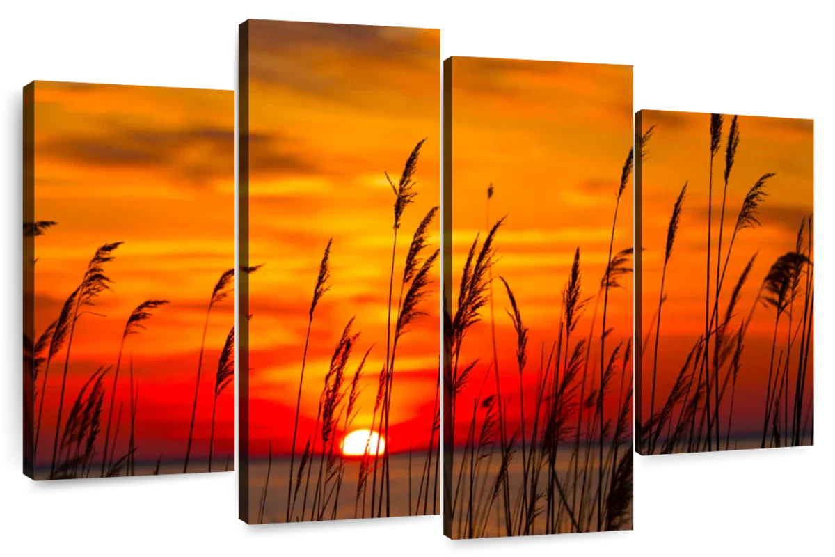 Chesapeake Bay Sunrise Wall Art