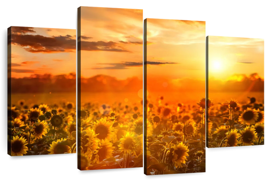 Yellow Sunset Wall Art