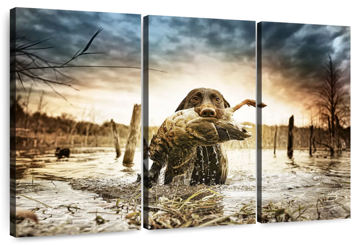 Dog Fetching Game Wall Art