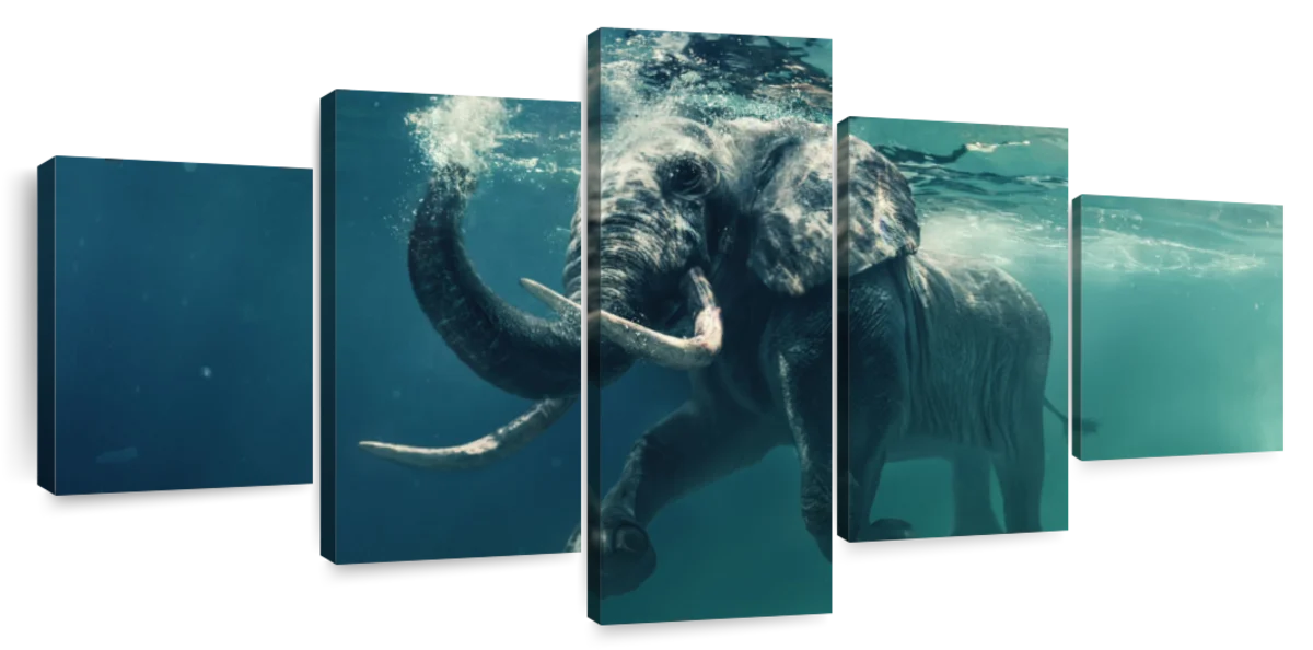 Swimming Elephant Wall Art