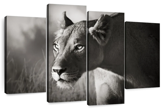 Stalking Lioness Wall Art