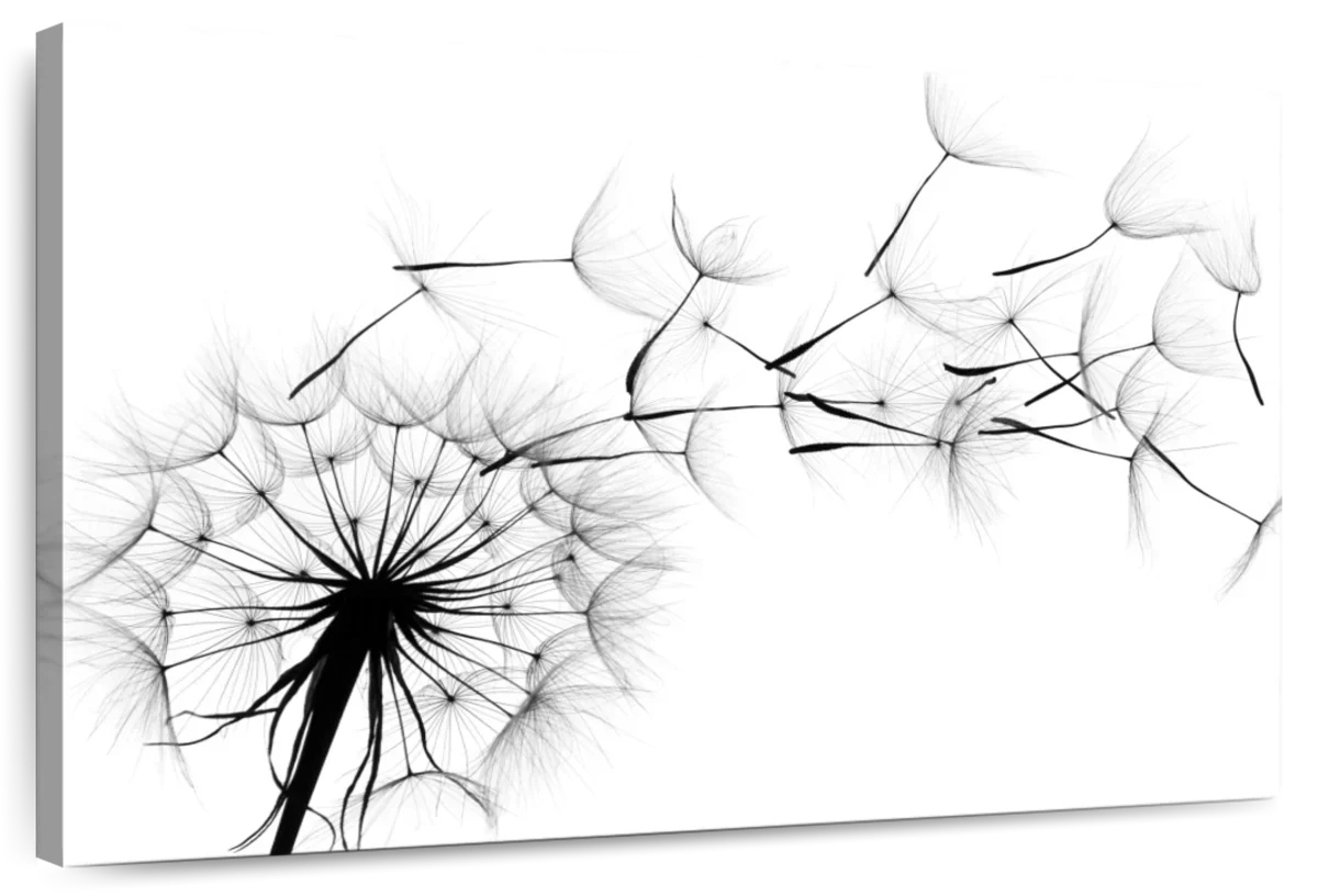 Flying Dandelion Wall Art