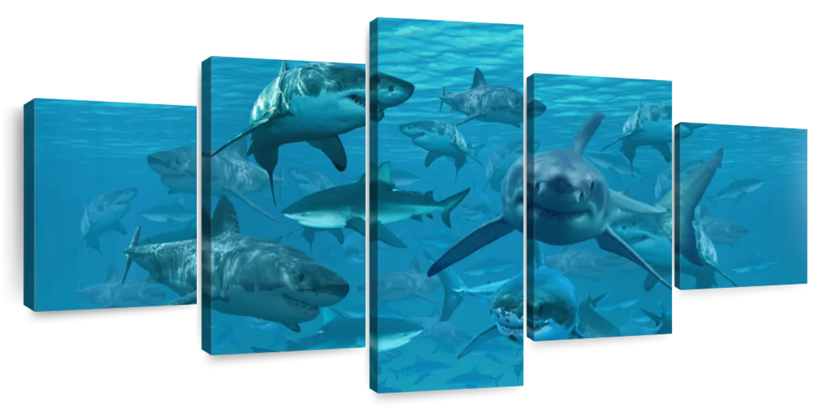 Shiver Of Sharks Wall Art