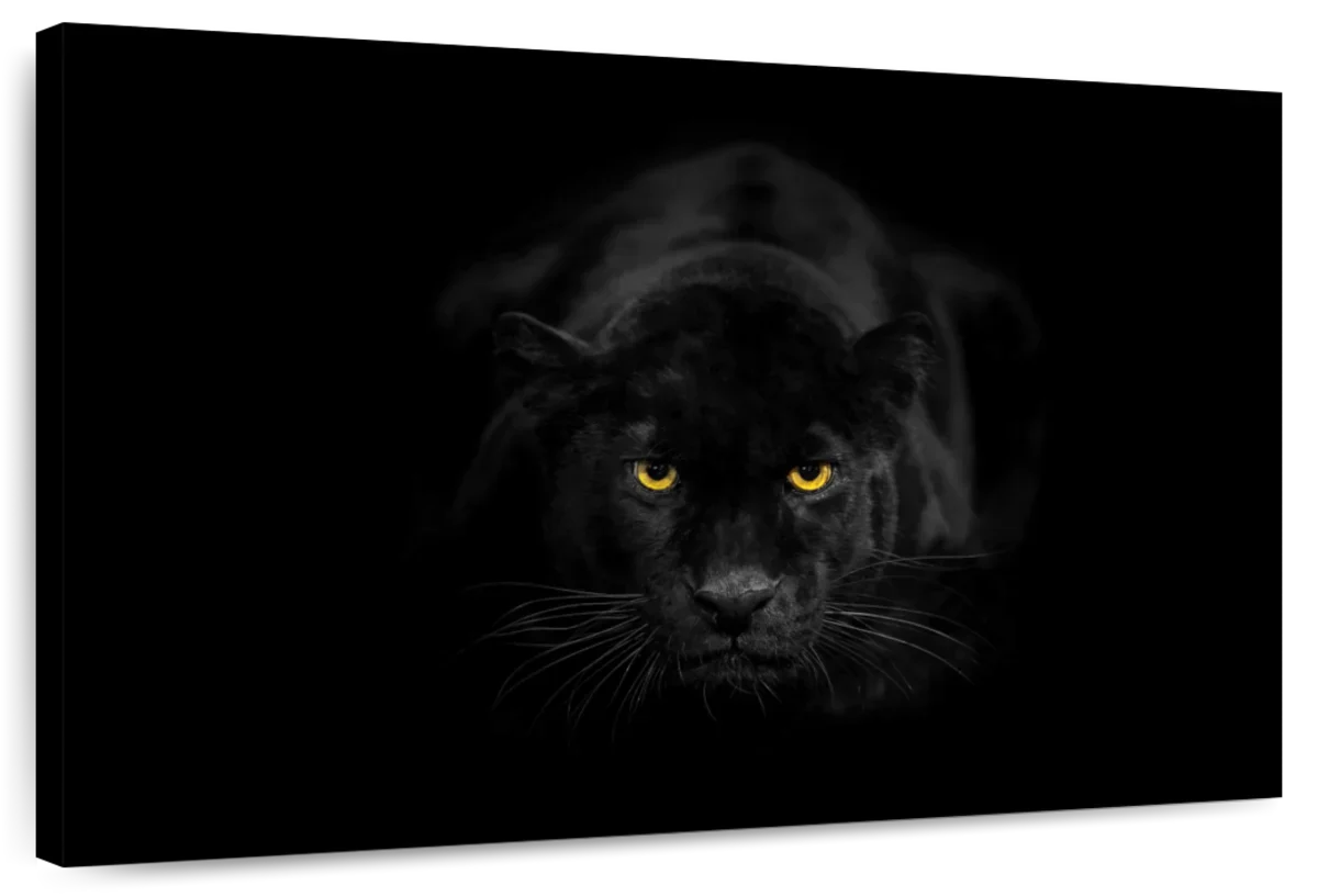 Rare Black Panther Wall Art