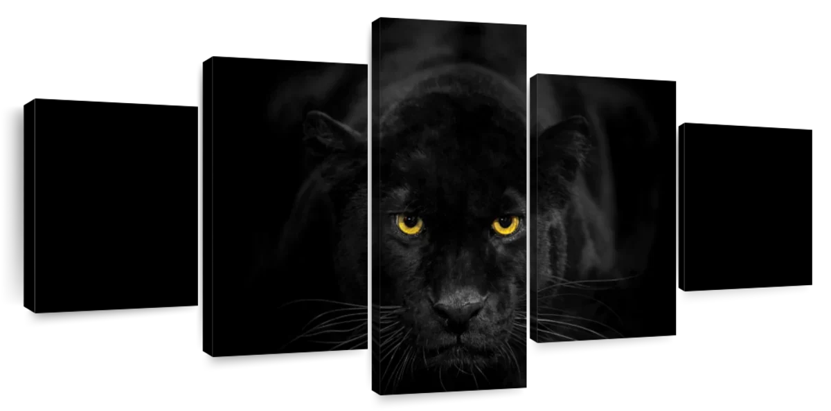 Rare Black Panther Wall Art