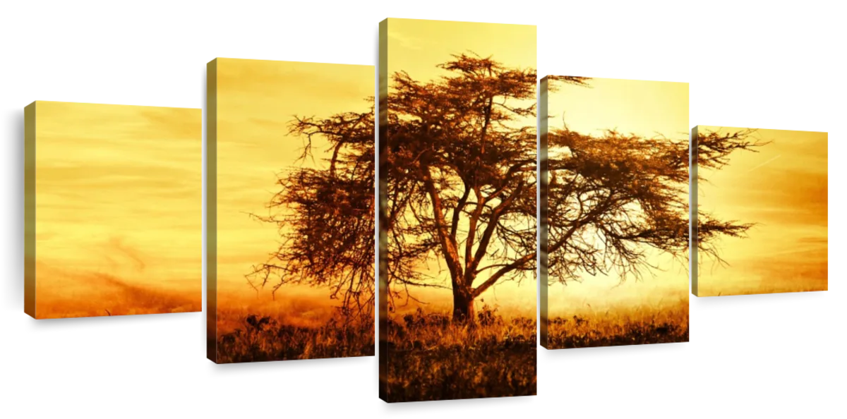 African Tree At Sunset Wall Art