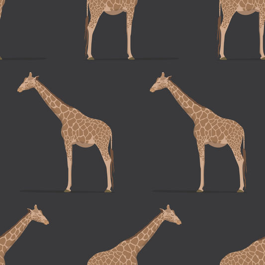 Giraffe Charcoal Wallpaper