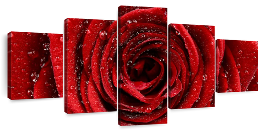 Damp Red Rose Wall Art