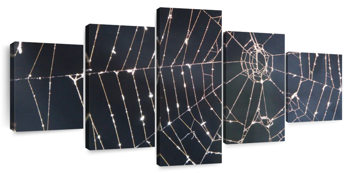 Spider Web Wall Art