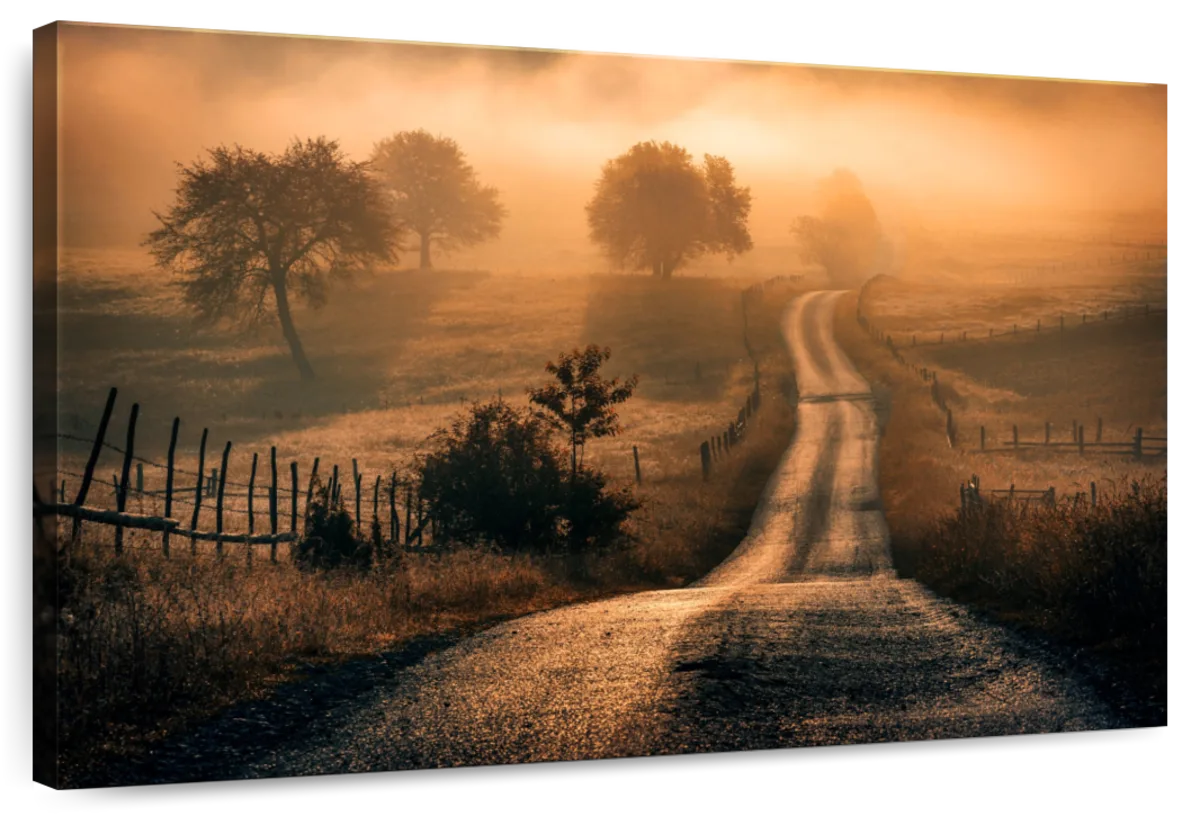 Field Of Fog Wall Art