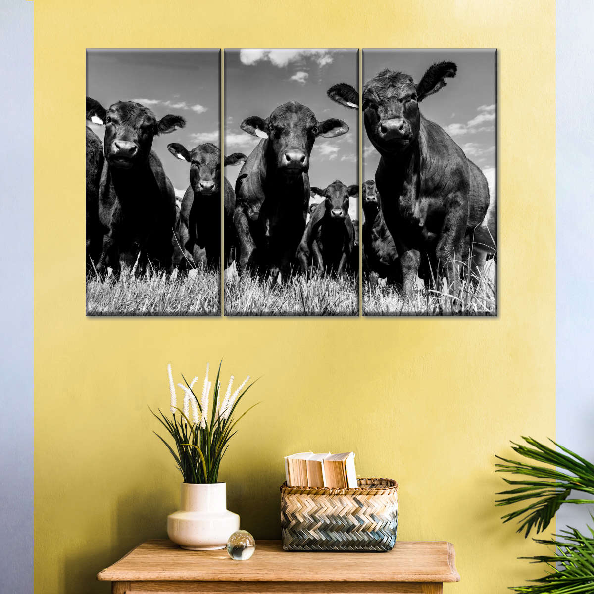 Monochrome Angus Cows Wall Art