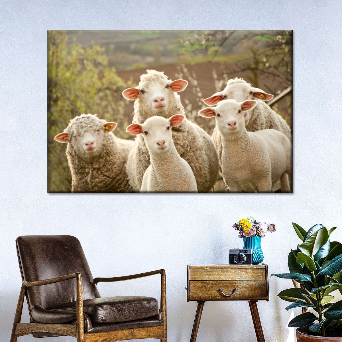 Stunned Sheep Wall Art