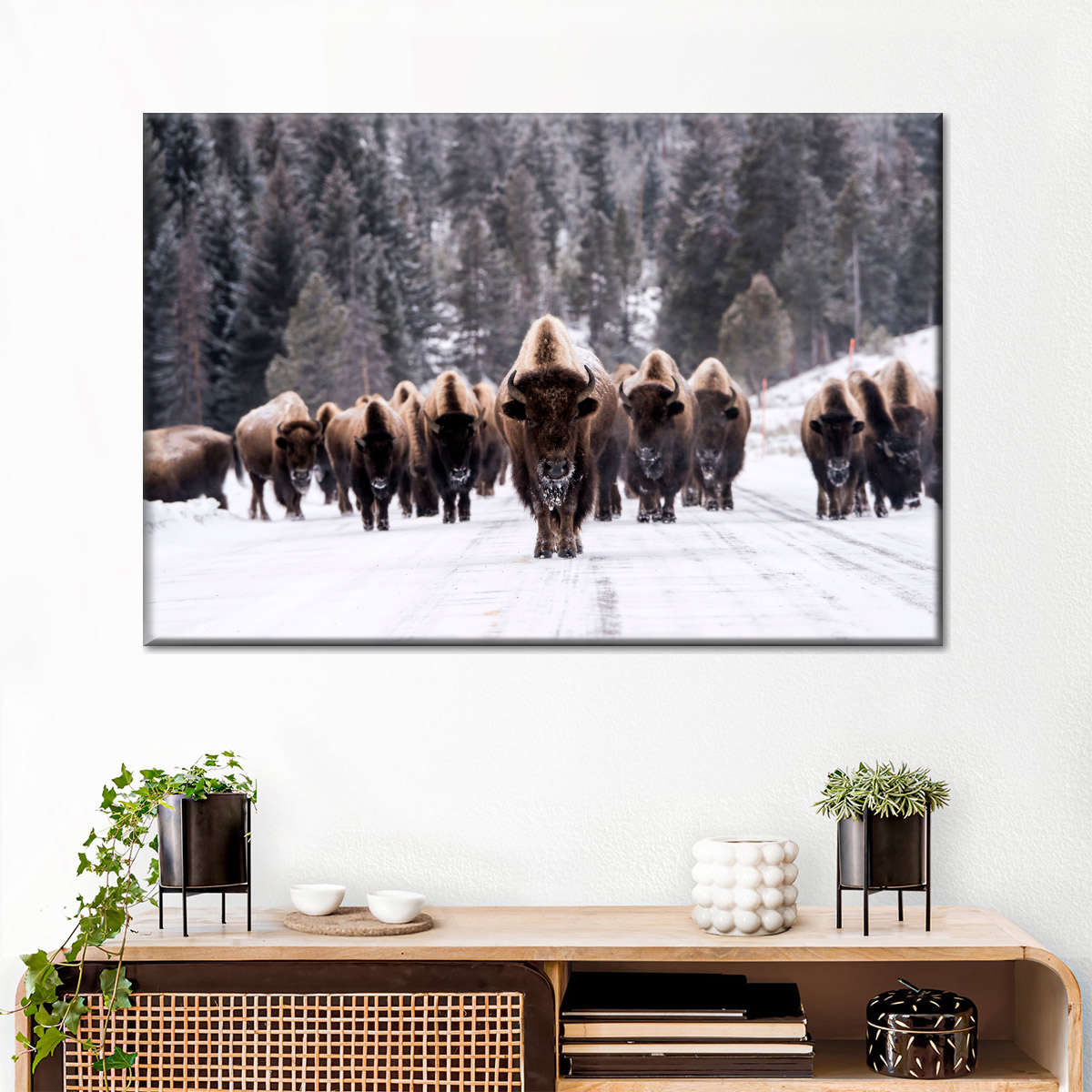 Bison Herd In Winter Wall Art