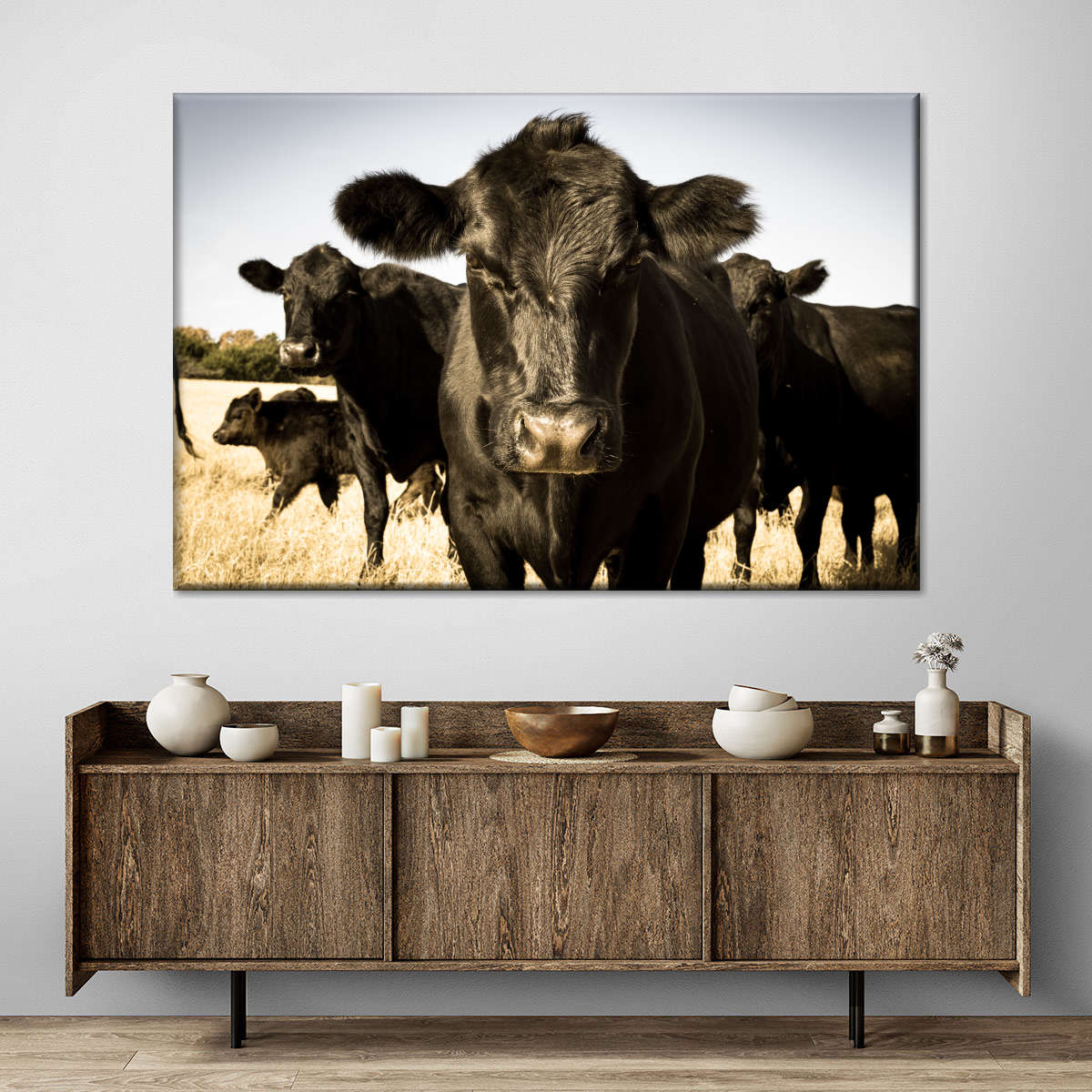 Black Angus Cattle Wall Art