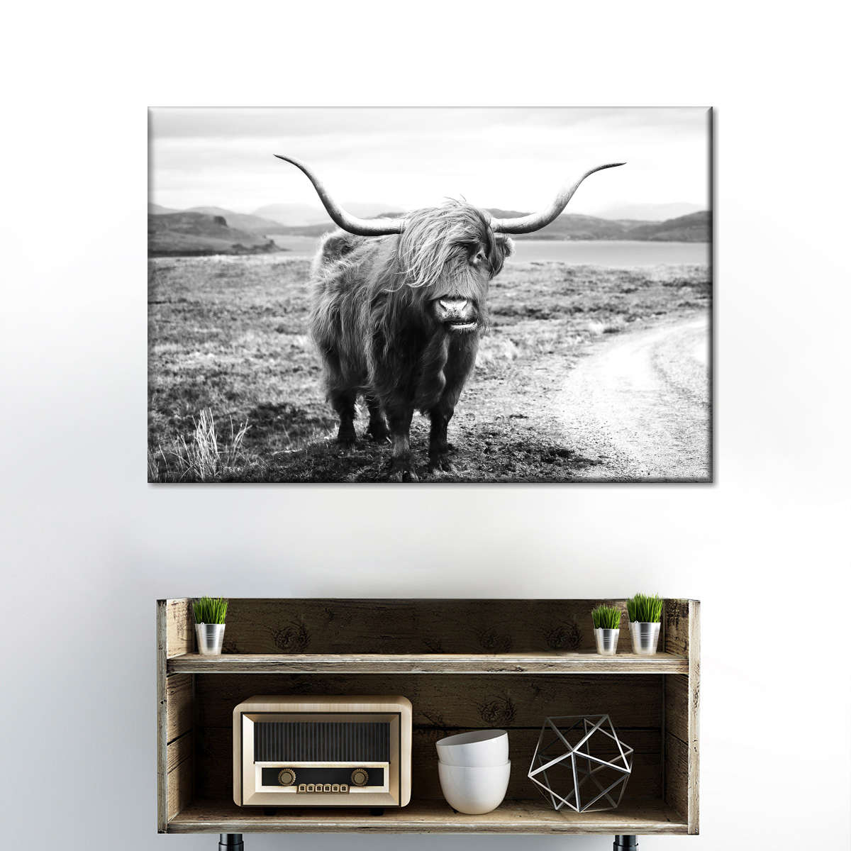 Highland Bull Wall Art