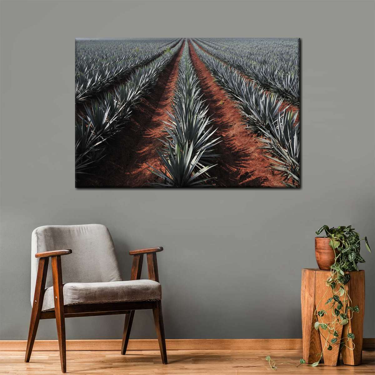 Agave Field Wall Art