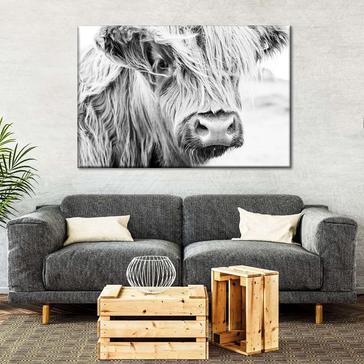 Long Haired Cow Wall Art