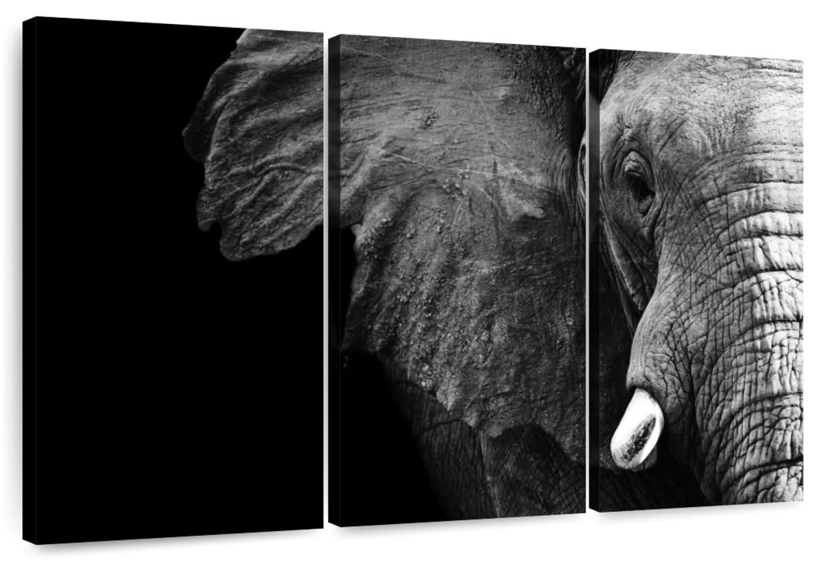 Wise Elephant Wall Art