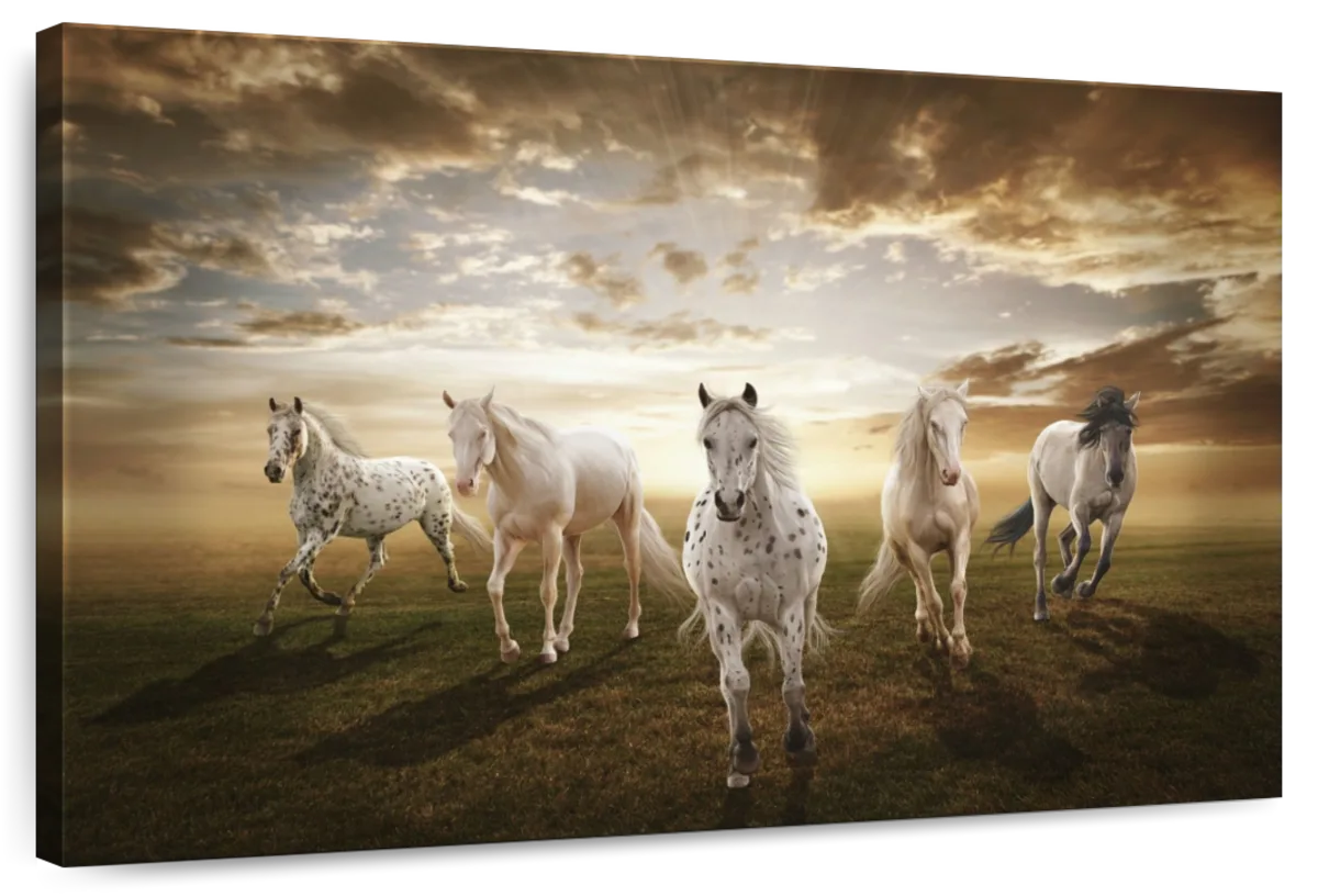 Dramatic White Horses Wall Art