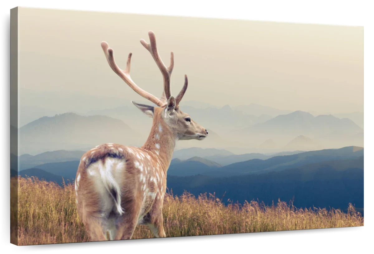 Mountain Sika Deer Wall Art