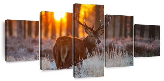 Forest Deer Hunting Wall Art