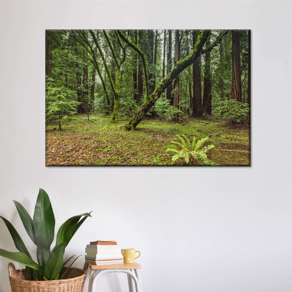 Muir Woods Forest Wall Art