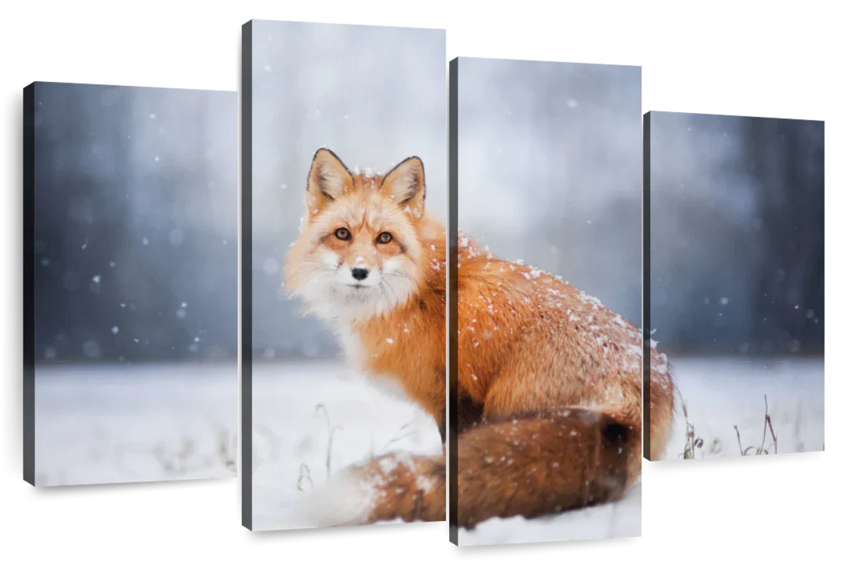 Little Red Fox Portrait Wall Art