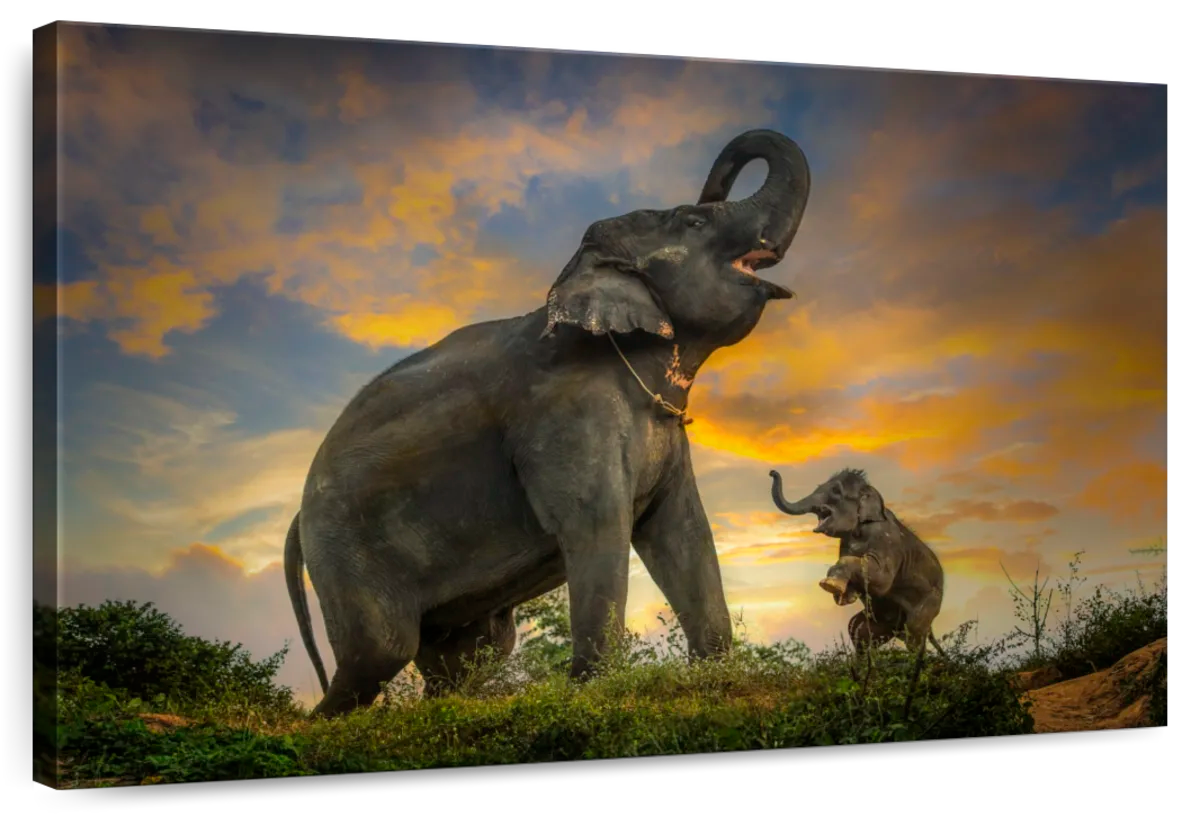 Elephant Herd Call Wall Art