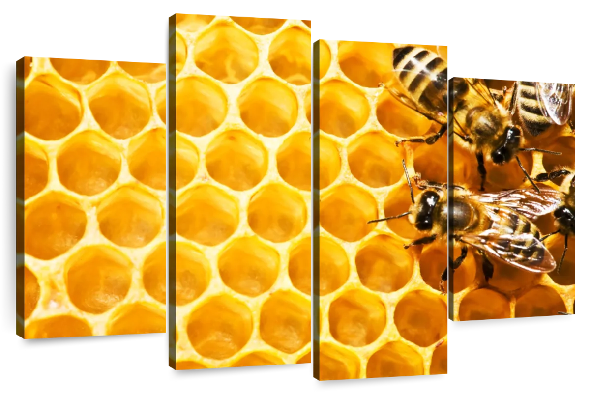 Honey Bee Hive Wall Art