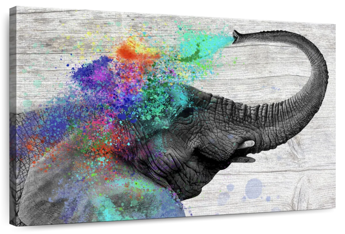 Colorful Elephant Splash Wall Art