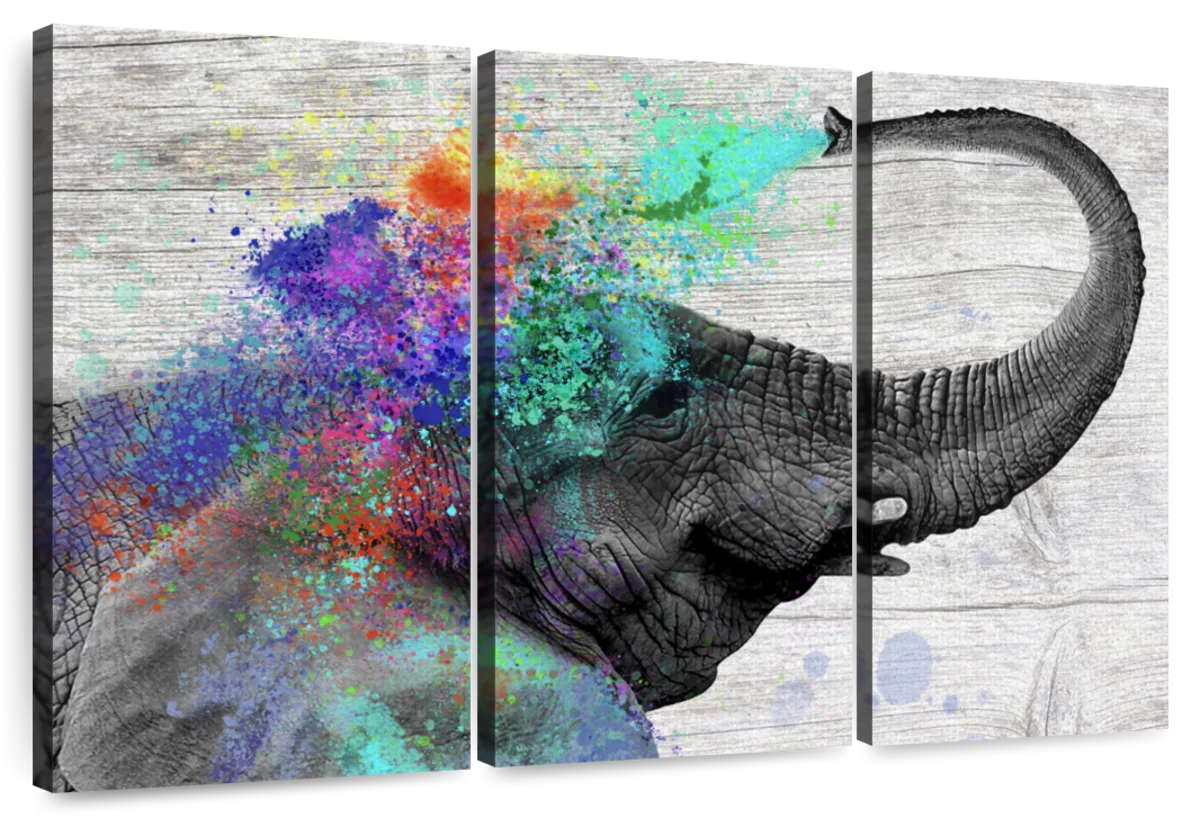 Colorful Elephant Splash Wall Art
