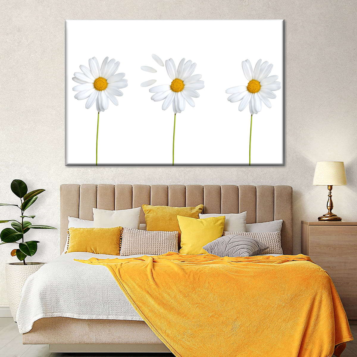 Plucked Daisies Wall Art