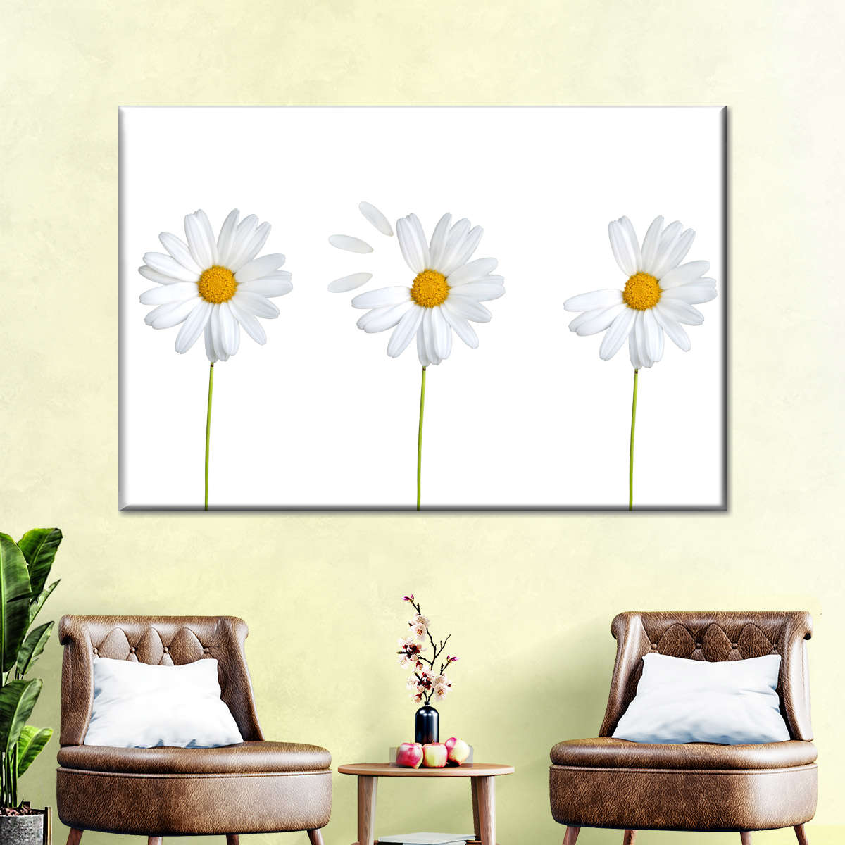Plucked Daisies Wall Art